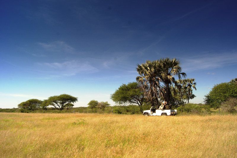 Dornhuegel Guestfarm Hotel Grootfontein Екстериор снимка