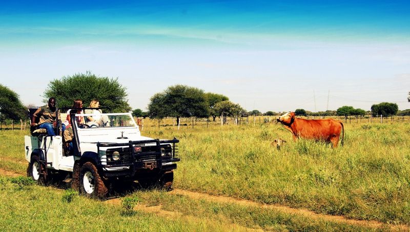Dornhuegel Guestfarm Hotel Grootfontein Екстериор снимка
