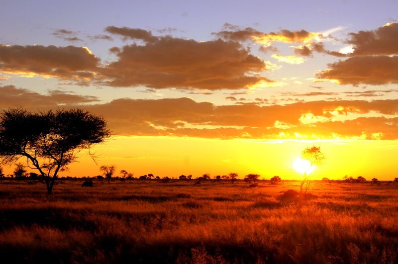 Dornhuegel Guestfarm Hotel Grootfontein Екстериор снимка